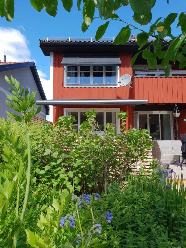 2020-12/moogio-falun